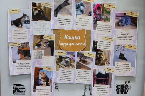 Кошка — муза для поэта